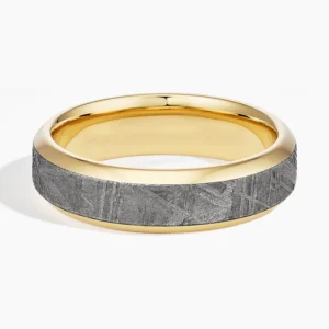 Merle 6mm Wedding Ring in Meteorite and 18K Yellow Gold