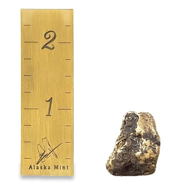 18.0 Gram Natural Gold Nugget