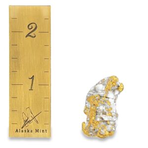 21.8 Gram Alaskan Gold & Quarts