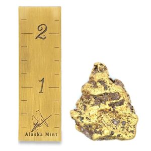 48.8 Gram Natural Gold Nugget