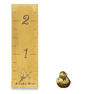 6.9 Gram Natural Gold Nugget
