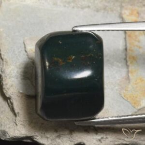 21.56ct Natural Forest Green Bloodstone
