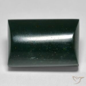 14.93ct Natural Forest Green Bloodstone